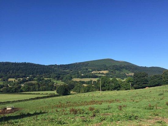 Hardwick Farm Villa Abergavenny Eksteriør billede